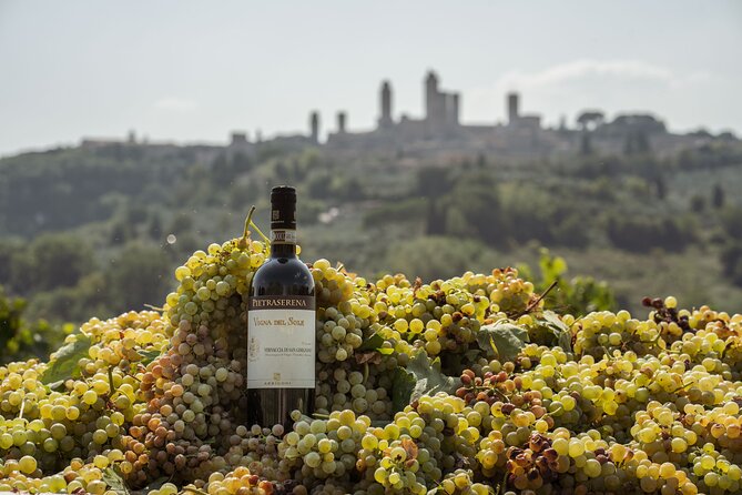 5 Wine Tastings in San Gimignano - Who Will Most Enjoy This Tour?