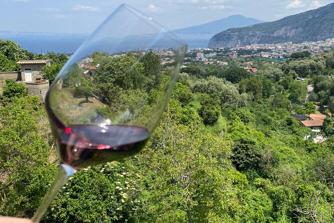 5 Wine Tastings with Typical Products in Sorrento Coast - Flexibility and Convenience: Booking and Cancellation