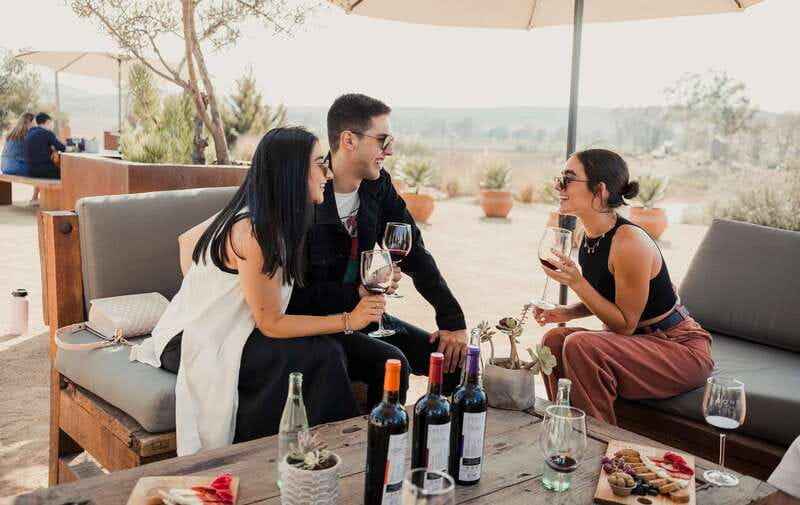5 wines Tastings with Tour in Valle de Guadalupe Winery - Key Points