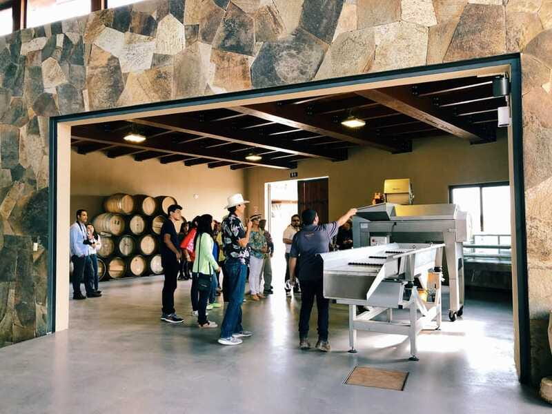5 wines Tastings with Tour in Valle de Guadalupe Winery - Accessibility and Group Size Advantages