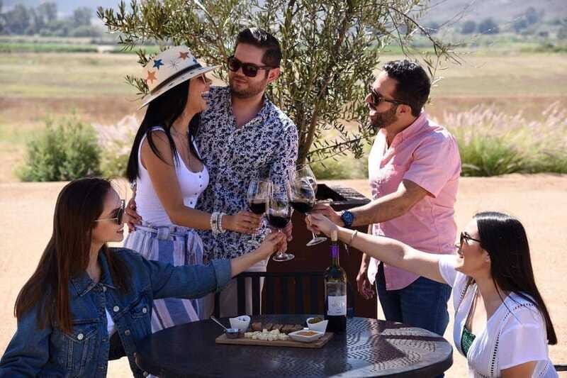 5 wines Tastings with Tour in Valle de Guadalupe Winery - Who Will Benefit Most from This Tour
