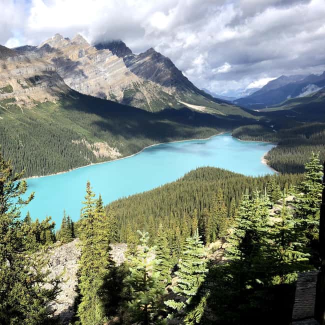 50% OFF Columbia icefield - Key Points