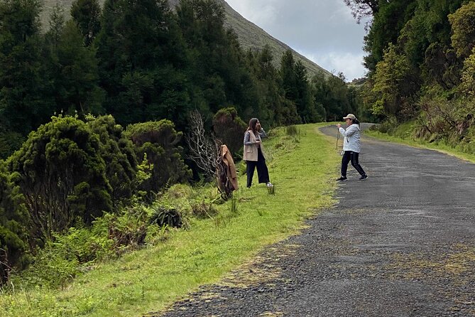 500 years of vines and 300,000 years of island, an infinite story - Key Points