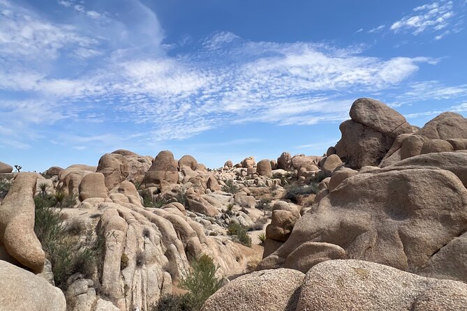 5G USA eSIM - Up to 50GB with Zero Roaming Fees - Key Points