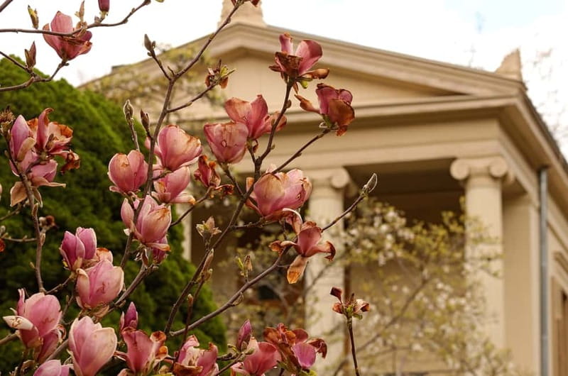 5h Potsdam private tour with Guide, Chauffeur & Photographer - Final Thoughts on the 5h Potsdam Private Tour