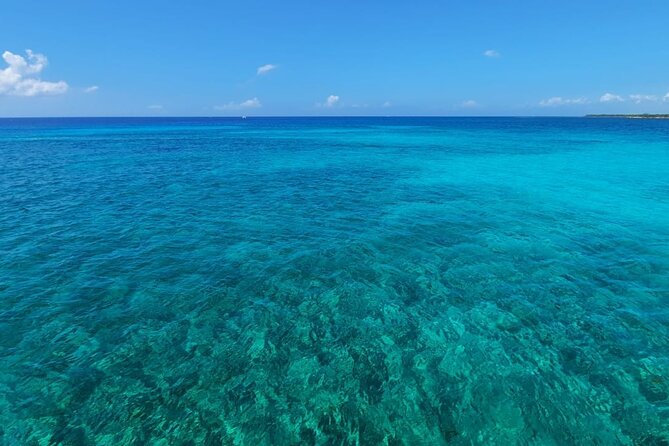 5H Private 44' Catamaran All-Inclusive - Tulum & Playa del Carmen - Relaxation and Water Activities on the Deck