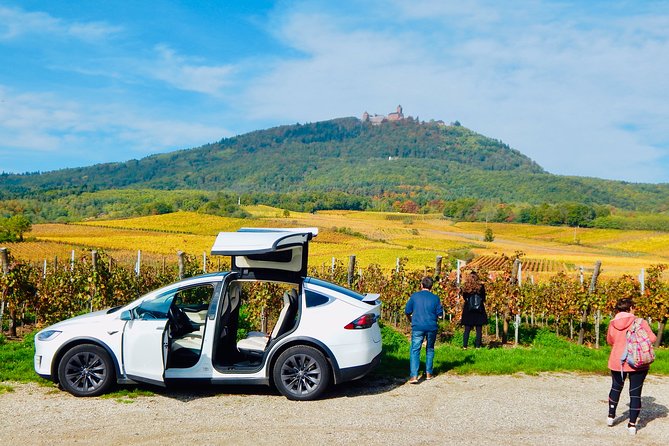 5H00 ALSACE PRIVATE TOUR-Castle, Villages, Wine, Friendly Driver - Key Points