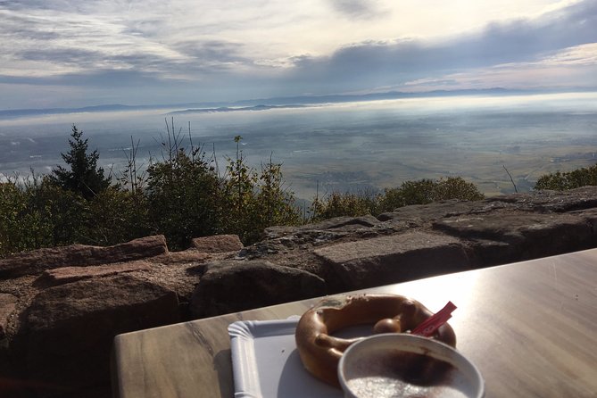 5H00 ALSACE PRIVATE TOUR-Castle, Villages, Wine, Friendly Driver - Flexible Pickup and Drop-Off for Ultimate Convenience