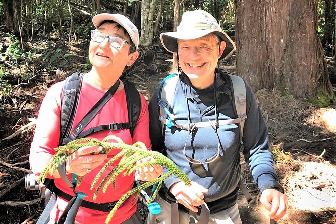 6-7 Hours Private Kauai's Hidden Gems Experience with Snacks - Start at Hanapepe: Your Private Kauai Adventure Begins