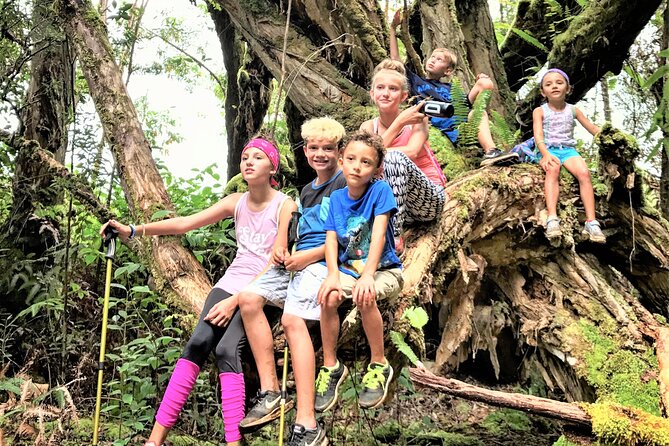 6-7 Hours Private Kauai's Hidden Gems Experience with Snacks - Scenic Drives and Hidden Trails with a Local Guide