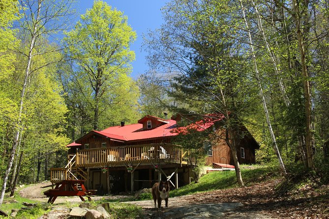 6-Day Algonquin Explorer Canoe Trip - Key Points