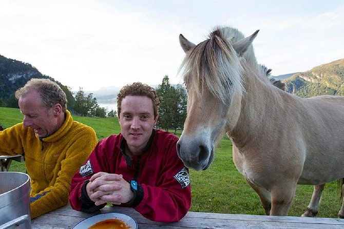 6 Day Fjord Kayaking Trip Norway - Unparalleled Natural Encounters in Norways Fjords