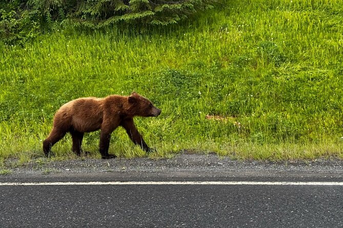 6 Day Grand Alaska Highlights Tour - Scenic Journey to Talkeetna