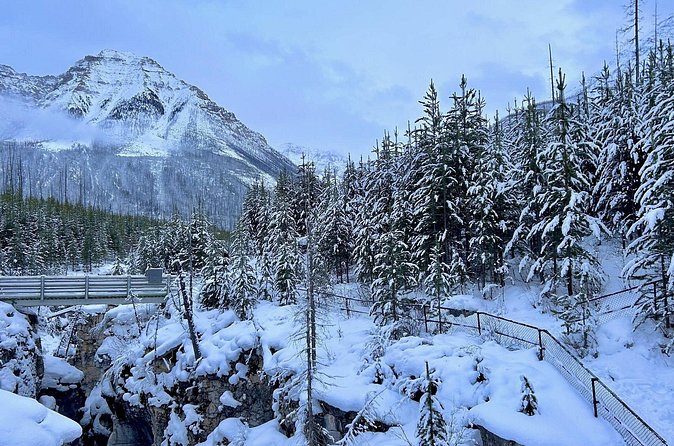 6 Day Rocky VIA Rail Journey: Vancouver to Calgary - Booking, Availability, and Cancellation Policy