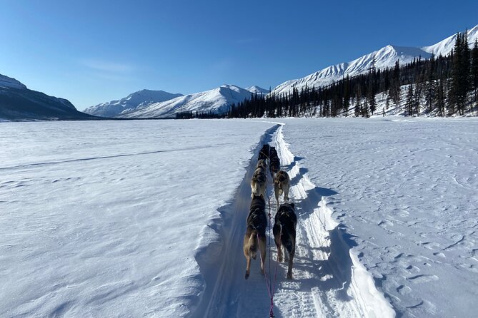 6 Days Brooks Range Expedition Private Tour - Unique Location and Scenic Trails in the Brooks Range