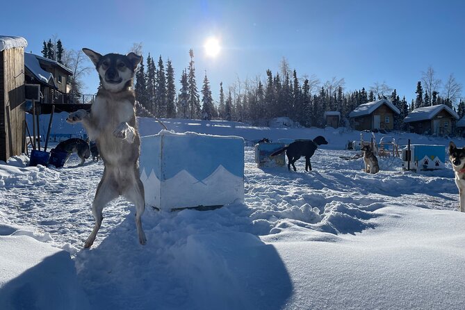 6 Days Brooks Range Expedition Private Tour - Logistics and Meeting Details