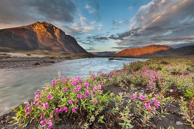 6 Days Grand Alaska Tour for Ages 50 Plus - Key Points