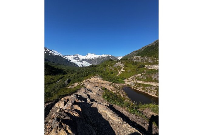 6 Days Grand Alaska Tour for Ages 50 Plus - Full Day in Denali National Park