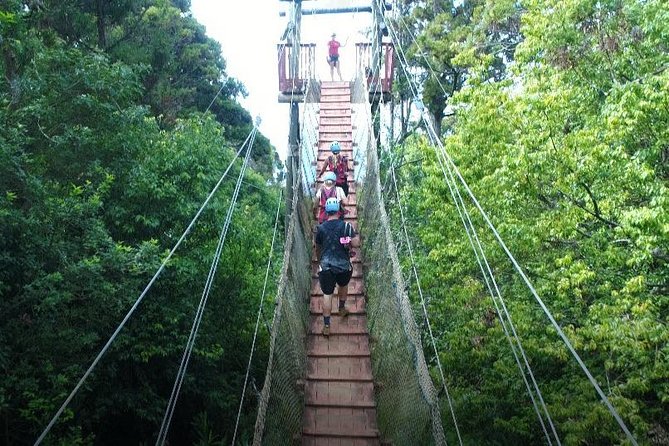 6 Dual-Zipline Mountain Adventure in Maui - Physical Requirements and Safety Tips