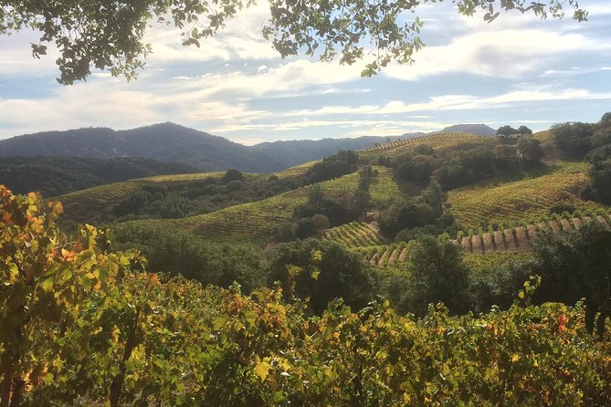 6-Hour Exclusive Wine Tour Experience: Up to 6 Guests - Logistics and Booking Details