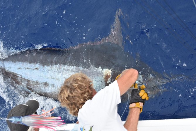 6 Hour Fishing Charter - Discover Hawaii’s Premier Private Fishing Adventure