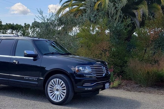 6-Hour Luxury Napa Wine Tasting Tour with Route Planning - Who Should Consider This Napa Tour?