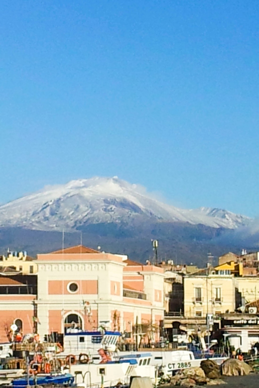 6-Hour Mount Etna Excursion - From Monti Rossi to Crateri Silvestri: Exploring Etna’s Volcanic Past
