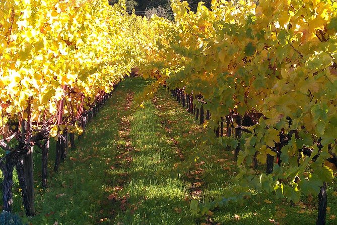 6 Hour Napa or Sonoma Valley Wine Tour by Private SUV - Whats Included and Whats Not