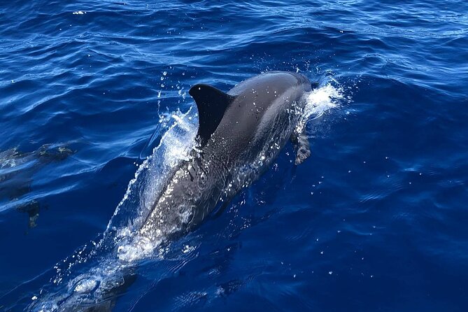 6 Hour Private Charter in Kona - Key Points