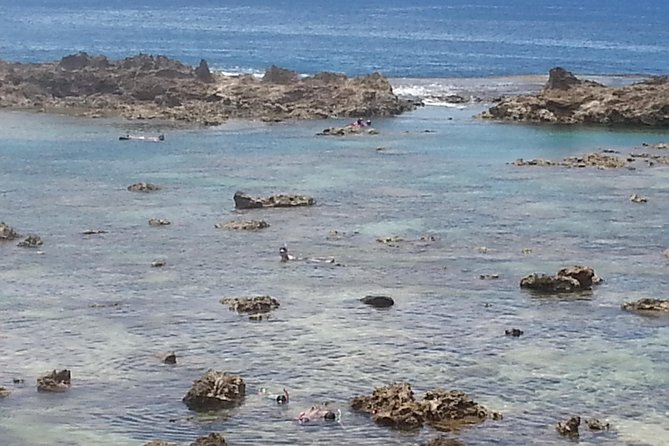 6-Hour Private Customized Luxury Convertible Tour of Oahu's North Shore - Exploring Waimea Valley and Snorkel at Shark’s Cove