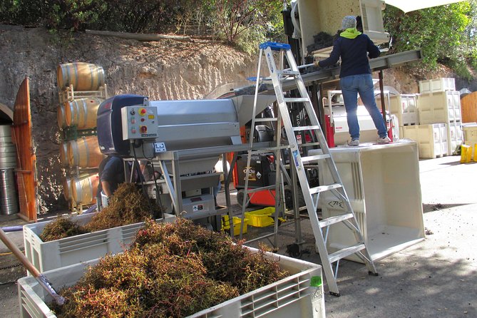 6 Hour Private Customized Wine Tour up to 7 Guests Napa & Sonoma - Expert Guides with Local Knowledge