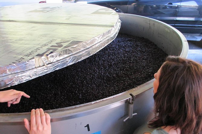 6 Hour Private Customized Wine Tour up to 7 Guests Napa & Sonoma - The Experience of Wine Tastings and Scenic Views