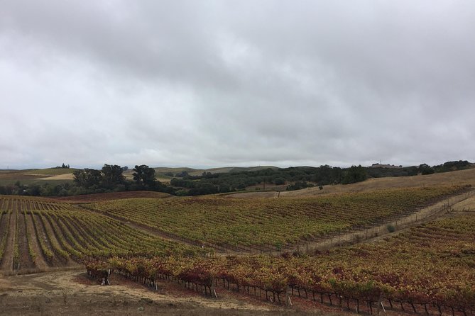 6-Hour Private Limousine Wine Country Tour of Napa or Sonoma - Limousine Transportation Focuses on Comfort and Safety