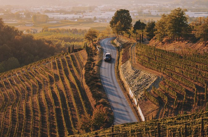 6-hour Private Luxury SUV Wine Tour in Napa Or Sonoma Valley - The Experience of a Professional Driver