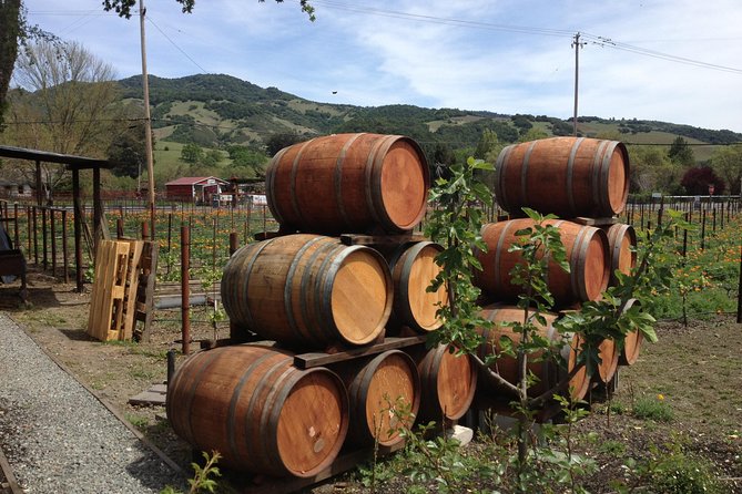 6-Hour Private Wine Country Tour of Napa in Crossover SUV (up to 6 people) - Key Points