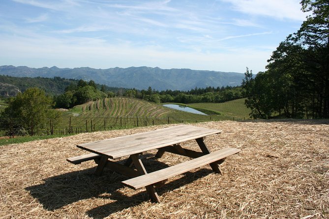 6-Hour Private Wine Country Tour of Napa in Crossover SUV (up to 6 people) - The Stops: Wineries and Scenic Views