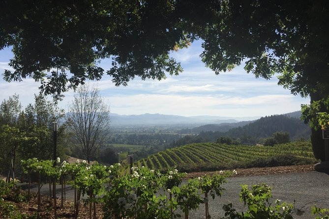 6-Hour Private Wine Country Tour of Napa Valley (up to 6 people) in Large SUV - An Unobtrusive, Top-Rated Service