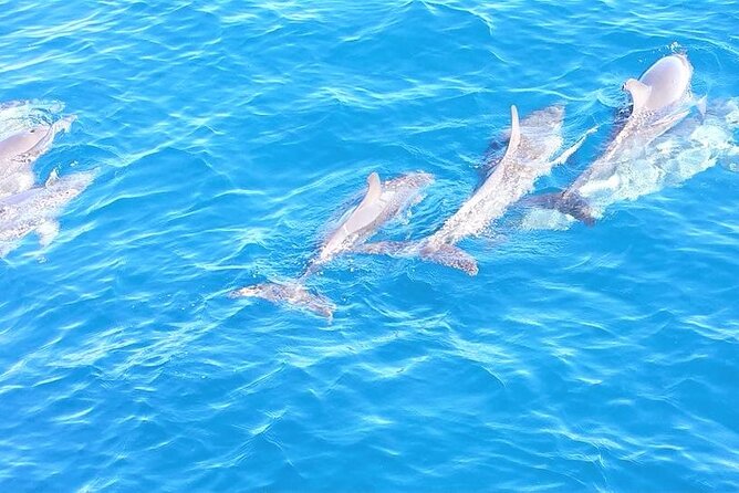 6-Hour Sailing Charter from Fort Lauderdale - Weather and Cancellation Policy