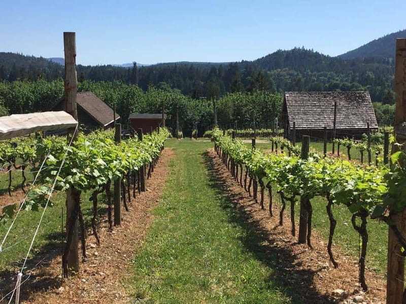 6-Hour Victoria to Cowichan Wine Tour - Exploring the Cowichan Valley Wineries