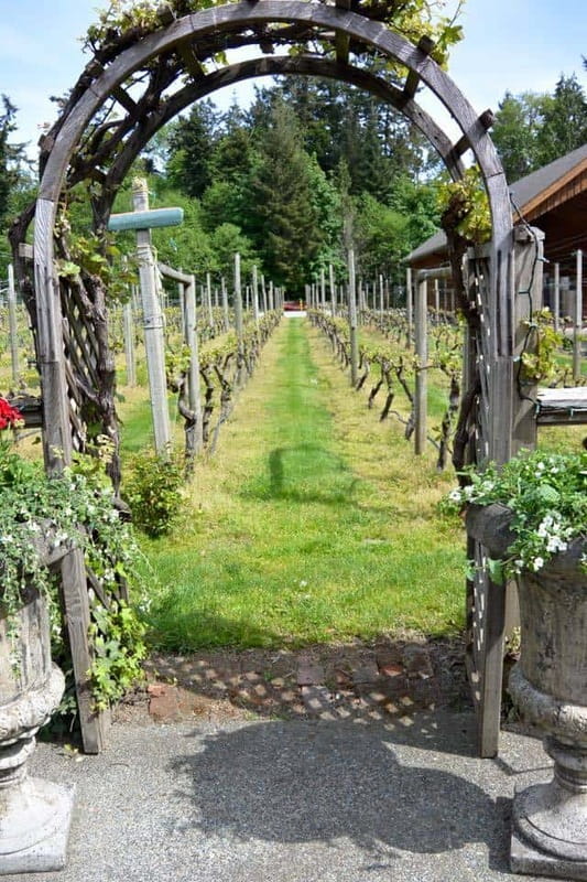 6-Hour Victoria to Cowichan Wine Tour - Practical Tips and Considerations