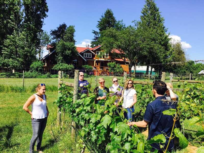 6-Hour Victoria to Cowichan Wine Tour - Frequently Asked Questions