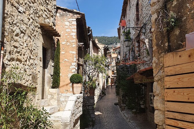 6 Hours Private Customized French Riviera Tour from Cannes Port - Final Thoughts: Is This Tour Right for You?