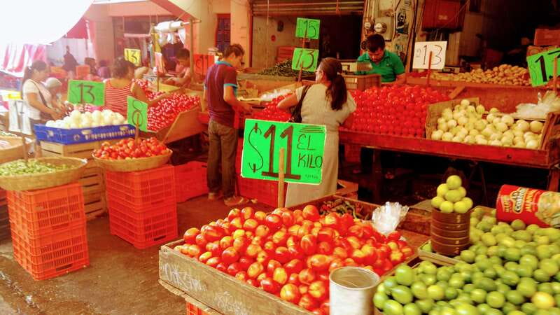 6 Hr City Tour Divers Turtles, All Attractions Only Hotels - Visiting Diego Rivera’s Mural