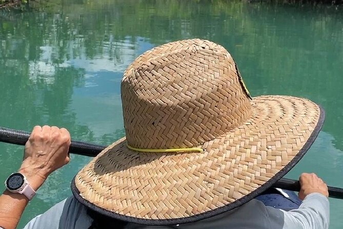 6-Hr Tropical Mangroves, Coastal River and Ocean Wildlife Watch - Starting Point at Fort Pierce’s Waterside Location