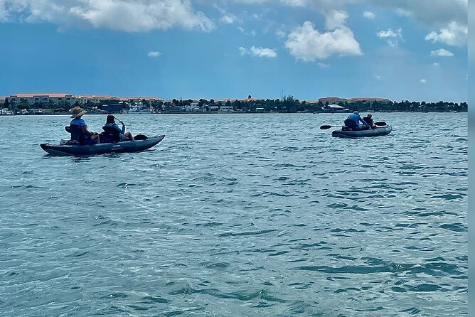 6-Hr Tropical Mangroves, Coastal River and Ocean Wildlife Watch - Guides Mark and Fabia: Knowledgeable and Approachable