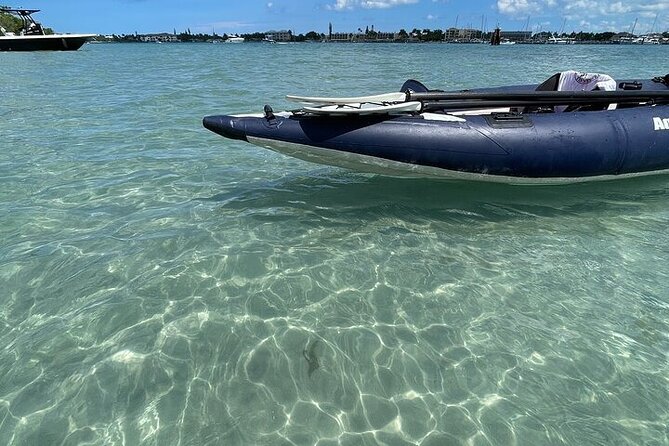 6-Hr Tropical Mangroves, Coastal River and Ocean Wildlife Watch - Wildlife Encounters and Special Sightings