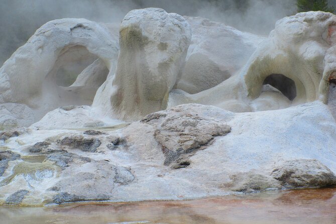 6-Mile Geyser Hiking Tour in Yellowstone with Lunch - Wildlife Opportunities and Park Safety