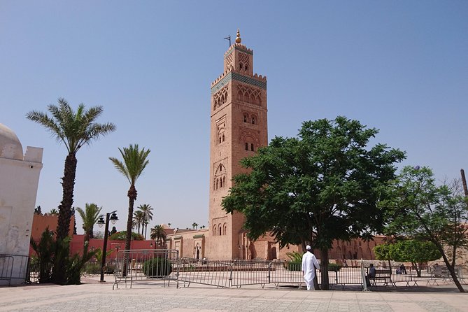 6-Night Morocco Tour from Malaga: Fez, Meknes, Marrakech, Casablanca, Rabat and Tangier - The Ferry Crossing from Tarifa to Morocco