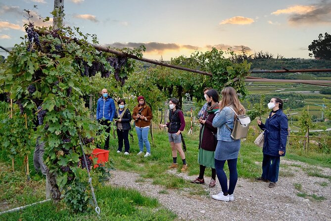 6 Wine Tasting in Valpolicella Classica: the cradle of Amarone - The Role of the Guide and Personal Touches