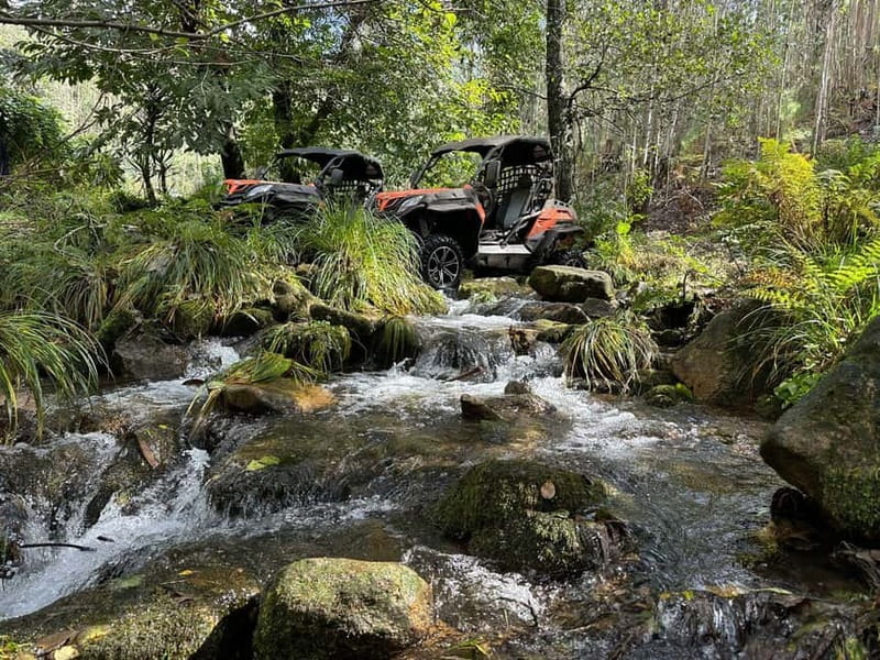 60-minute Buggy Tour - Key Points